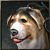 Doggy Lv 5 <1 day>