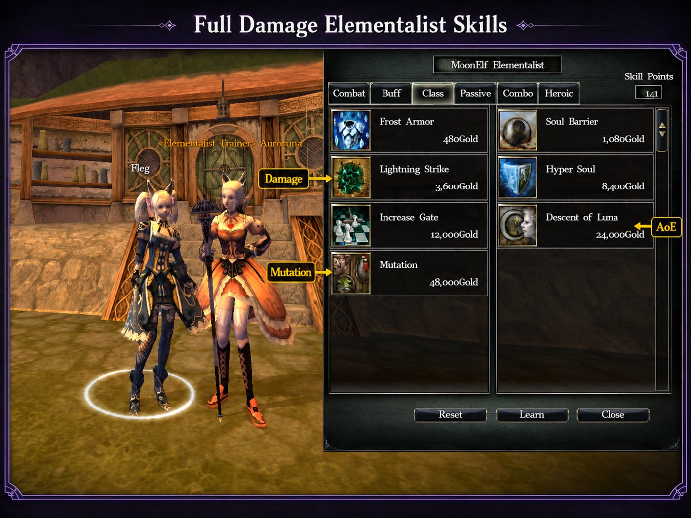 Full Damage Elementalist Skills